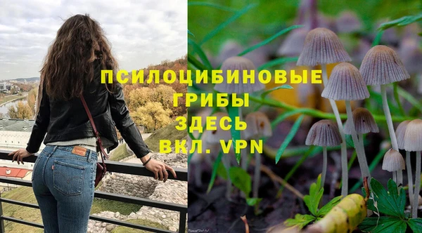 apvp Михайловка